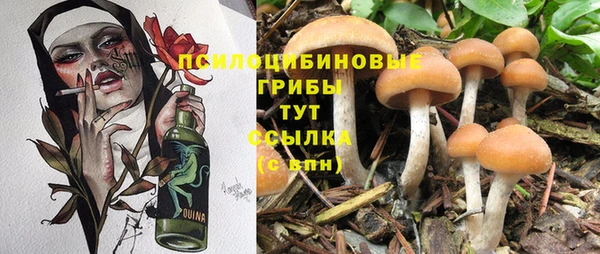 крисы Верея