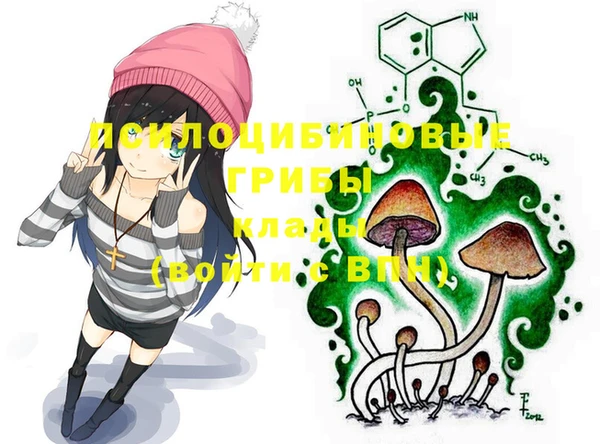 крисы Верея