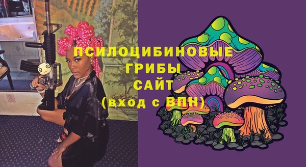 крисы Верея