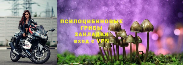 крисы Верея