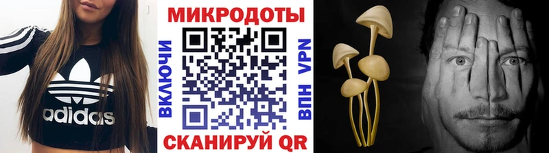 Псилоцибиновые грибы MAGIC MUSHROOMS  Фёдоровский 
